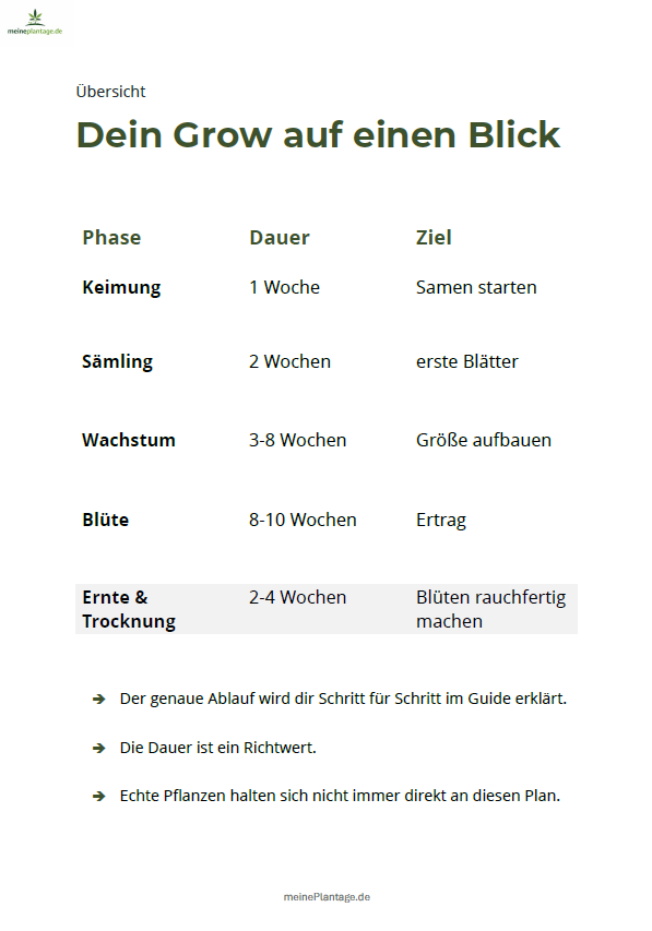 Indoor Grow Phasen Übersicht Keimung Wachstum Blüte Ernte
