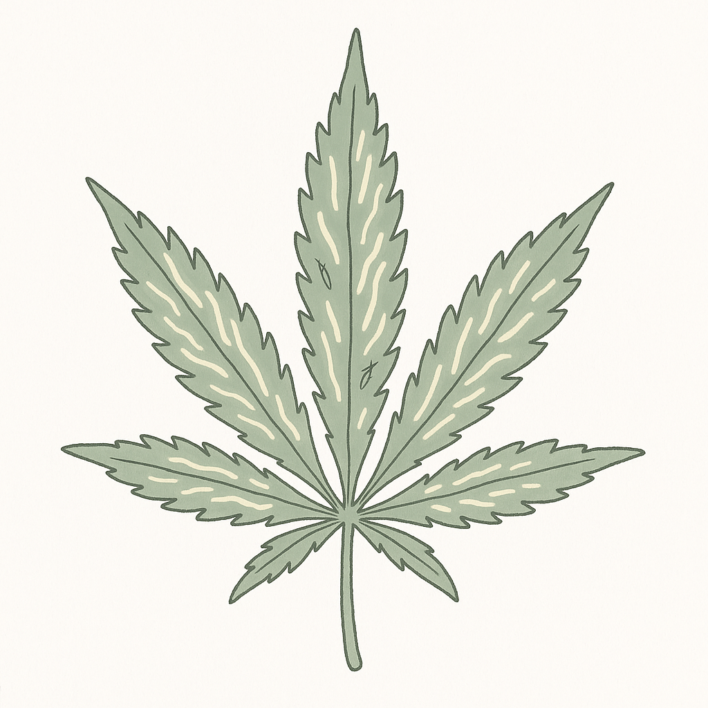 Thripse Cannabis Silberstreifen Blatt