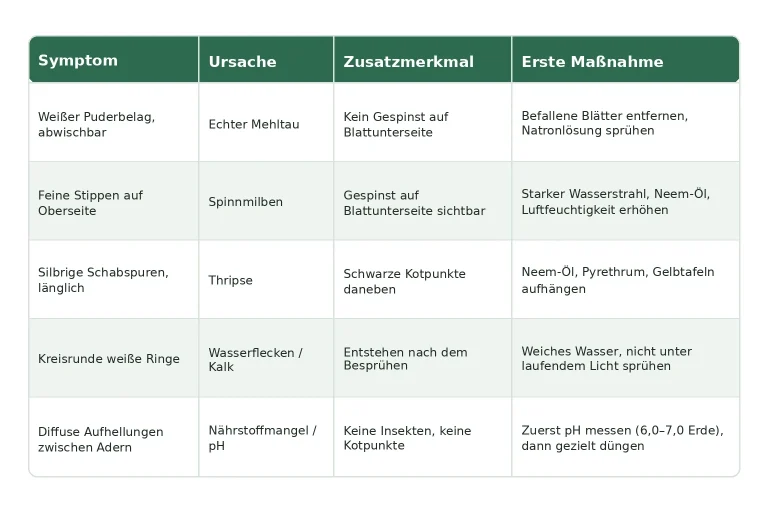 Diagnose-Tabelle Cannabis weiße Punkte Blätter: Symptom, Ursache, Zusatzmerkmal und erste Maßnahme für Spinnmilben, Mehltau, Thripse, Wasserflecken und Nährstoffmangel